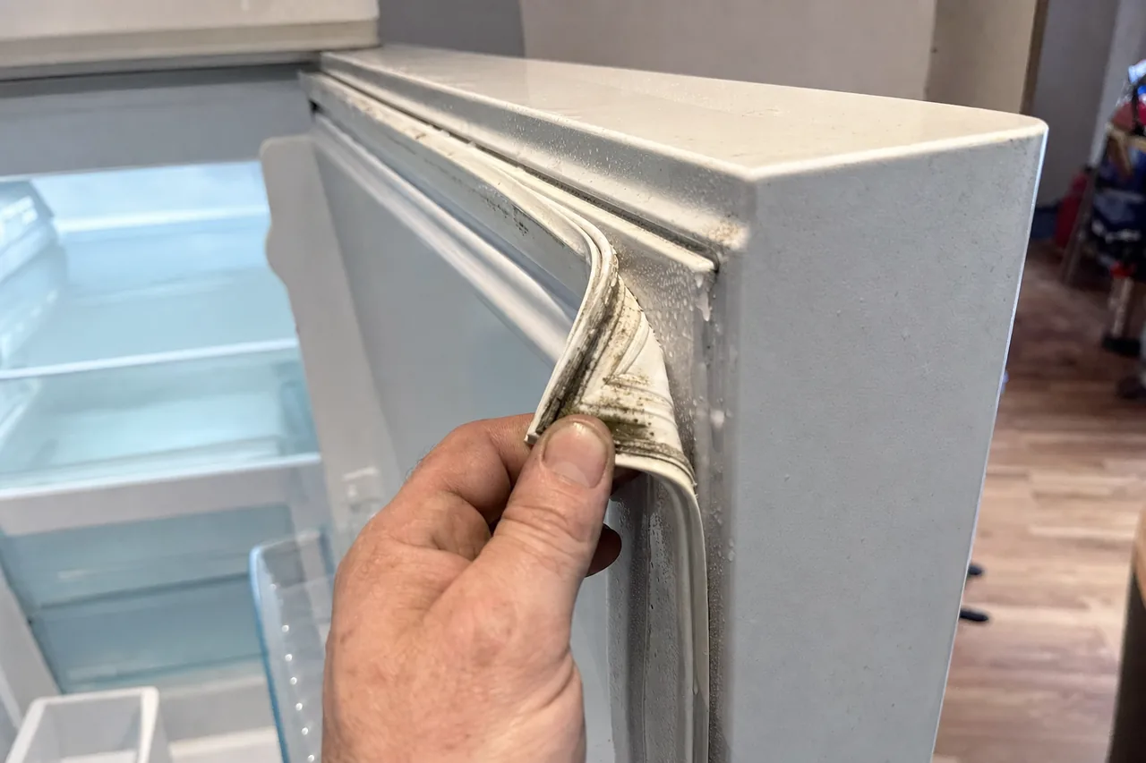 A technician peeling back a refrigerator door gasket that has gone soft and mildewed at the corner, condensation beaded on the frame beside it.