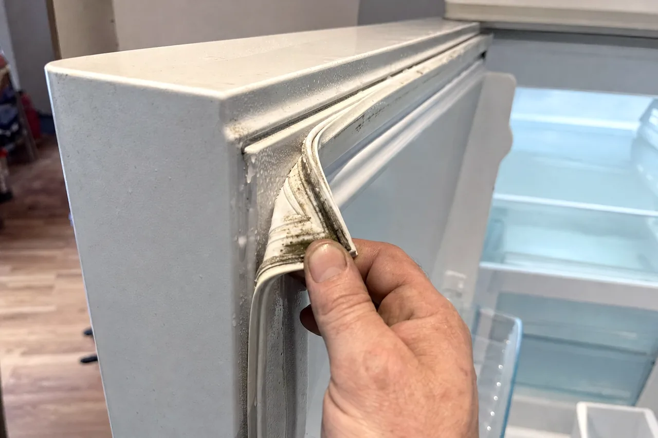 The corner of a door seal held open between finger and thumb, dark mildew visible in the fold of the rubber.