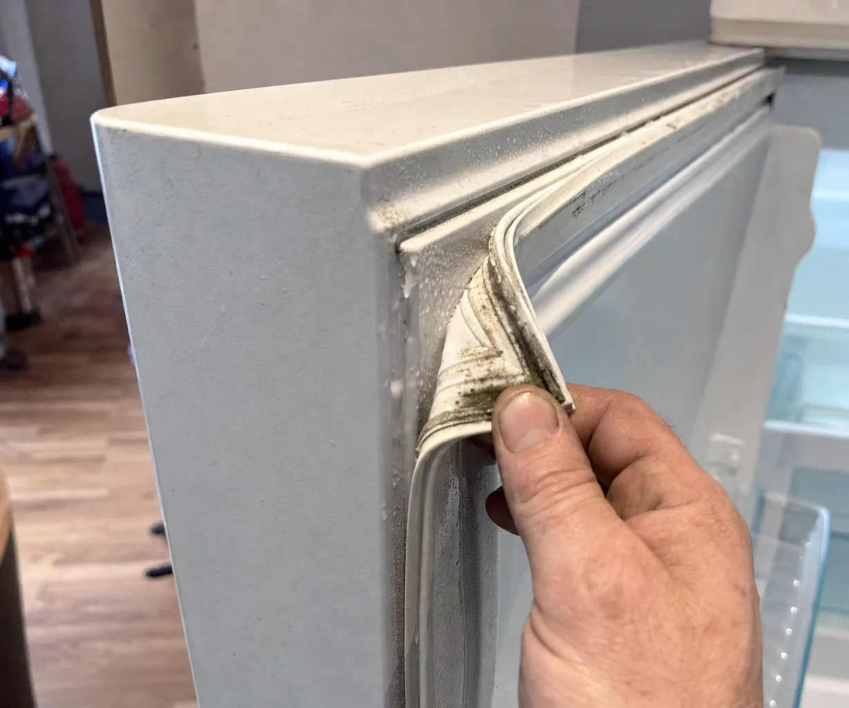 A soft, discoloured door gasket pulled away from the cabinet frame, the magnetic strip inside it visible.