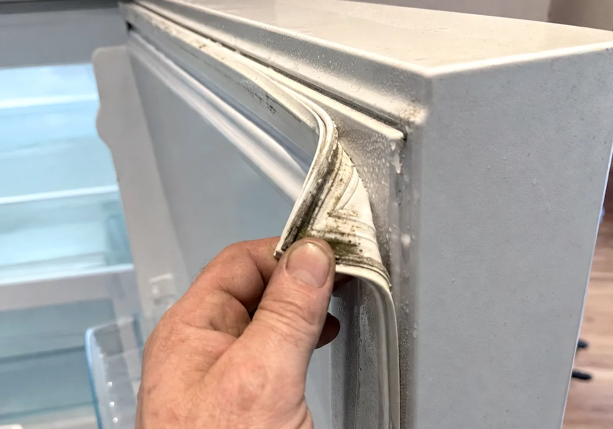 Fingers lifting the edge of a refrigerator door seal to show the mildew line running along its fold.