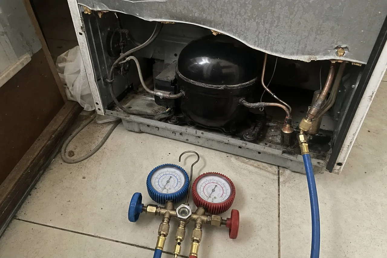 Manifold gauges with blue and red hoses connected to the compressor of a refrigerator, the machine compartment open and copper tubing visible.